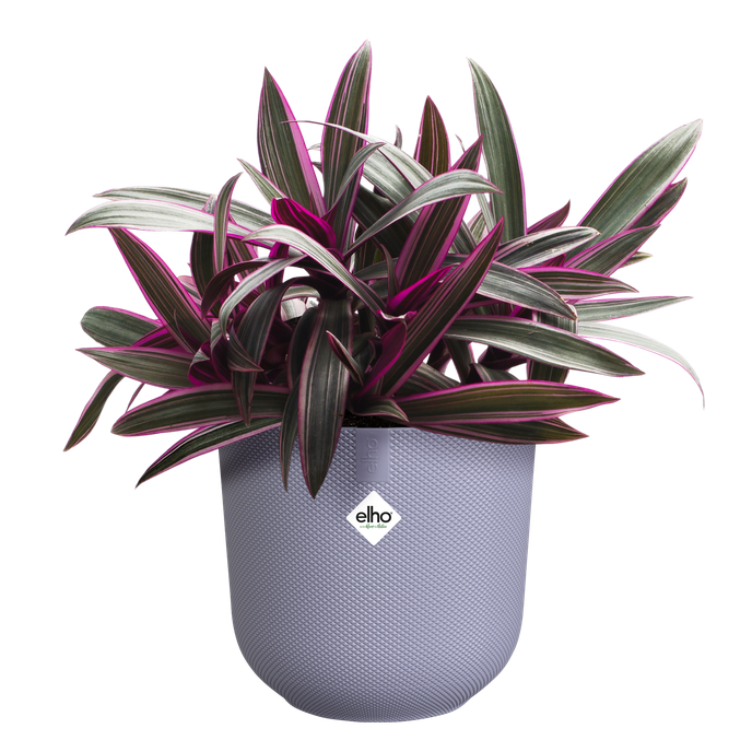 jazz rond 14cm lavendel lila